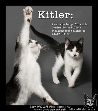 kitler4458.jpg