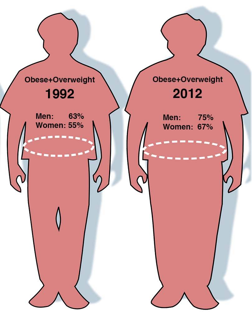 Obesity-Stats.jpg