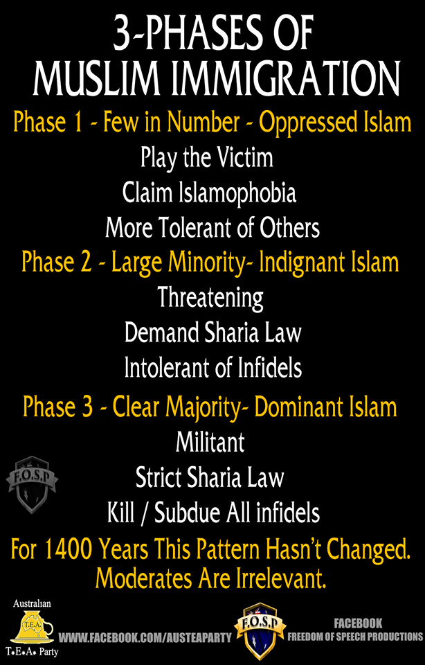 Three-phases-of-Muslim-Immigration.png