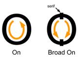 broad-on.jpg