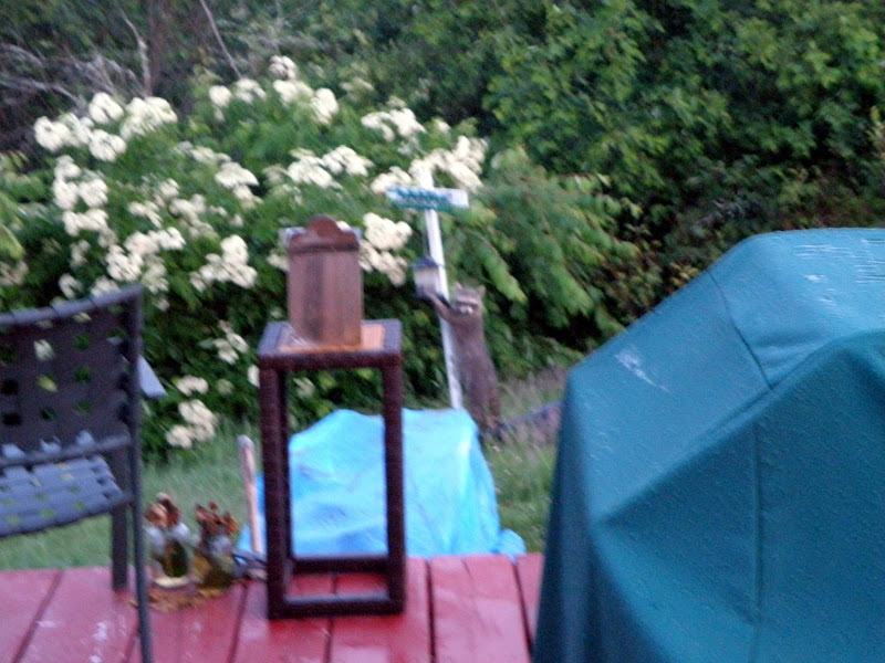 P7144215.JPG