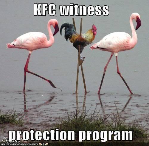 4d019bd3_34957_funny-pictures-kfc-chicken-stilts-f.jpeg