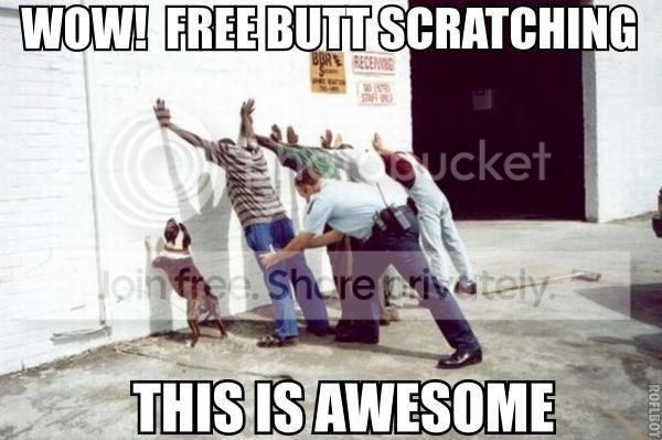 FreeButtScratching.jpg