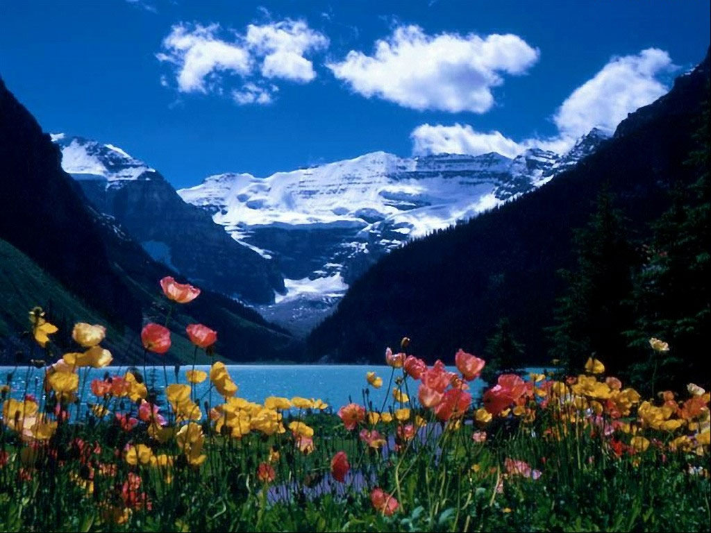 nevado_y_flores.jpg
