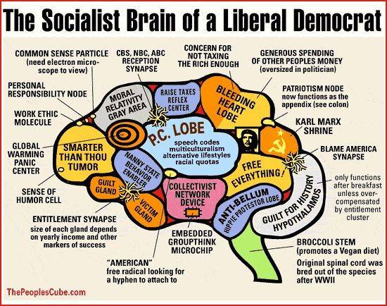liberal_brain1.jpg