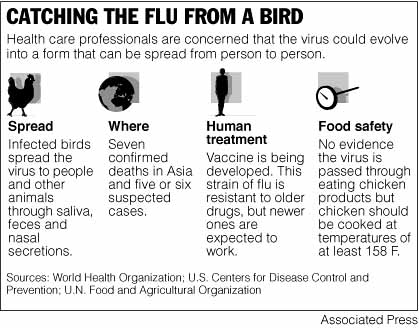 AP-bird-flu-image.jpg