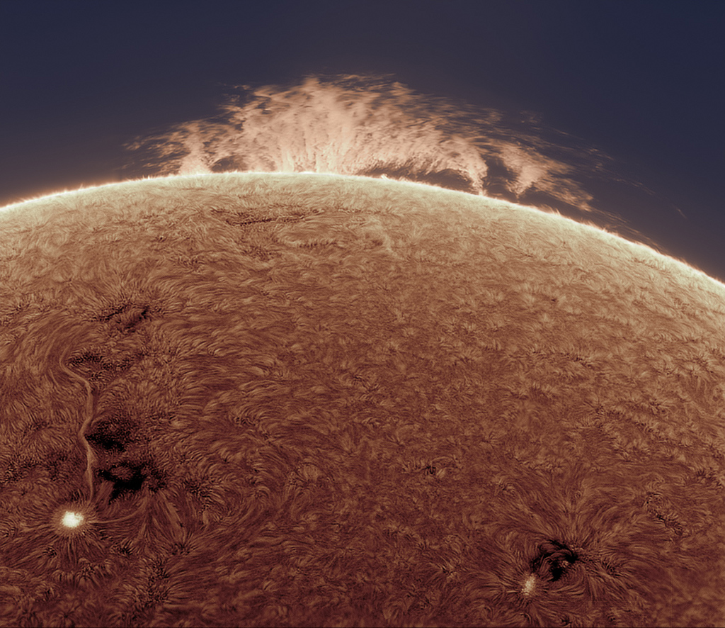 solarsaurus_friedman1024.jpg