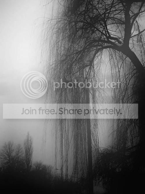 4c7b0de8641a26cbaefee858f457fa9f_zpsd0b0e73e.jpg