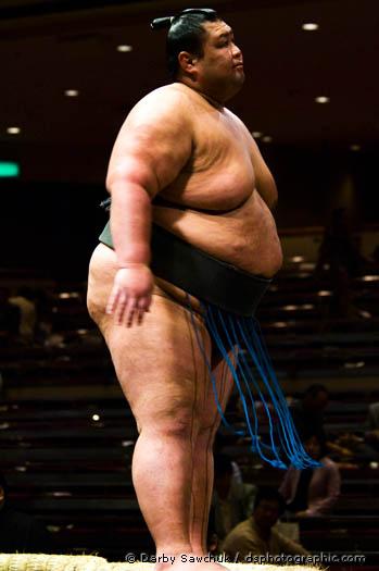 sumo-wrestling.jpg