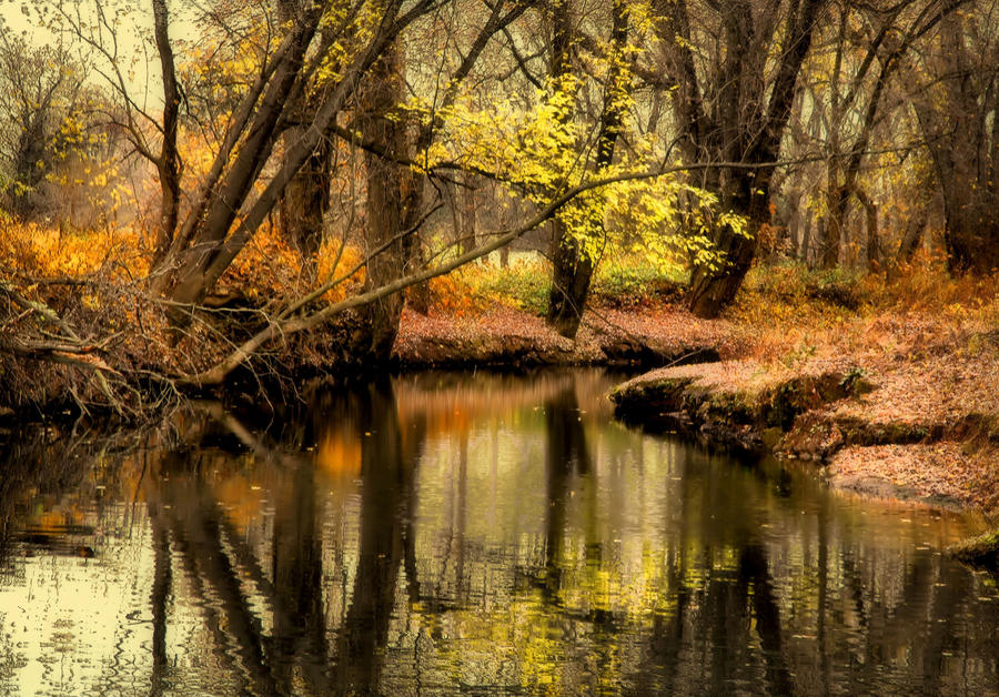 approaching_winter_by_timlasure.jpg