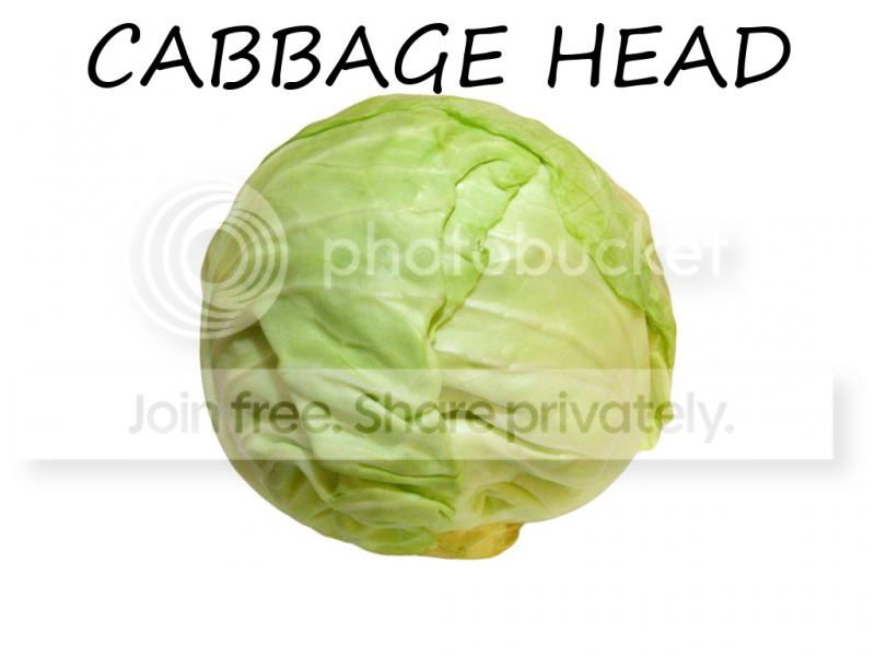 Cabbage_zps049903b6.jpg
