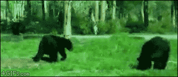LMsJ3Rh.gif
