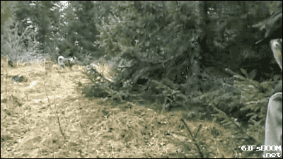 tumblr_ngoz83U59O1s02vreo1_400.gif