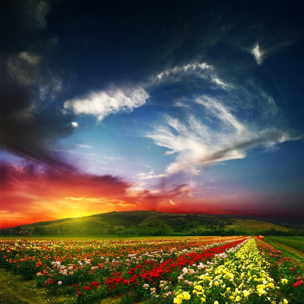 colorfulnature-5.jpg