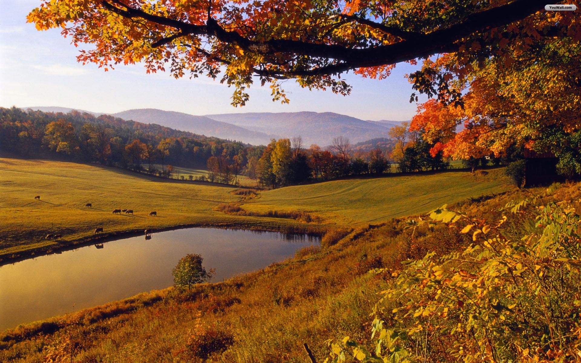 autumn-landscape-background-1.jpg