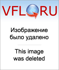 15926025.jpg