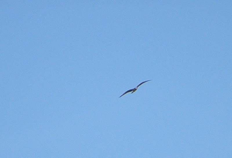 P7114163.JPG