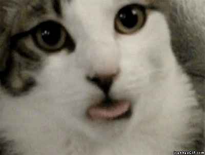 bDT2gnA.gif