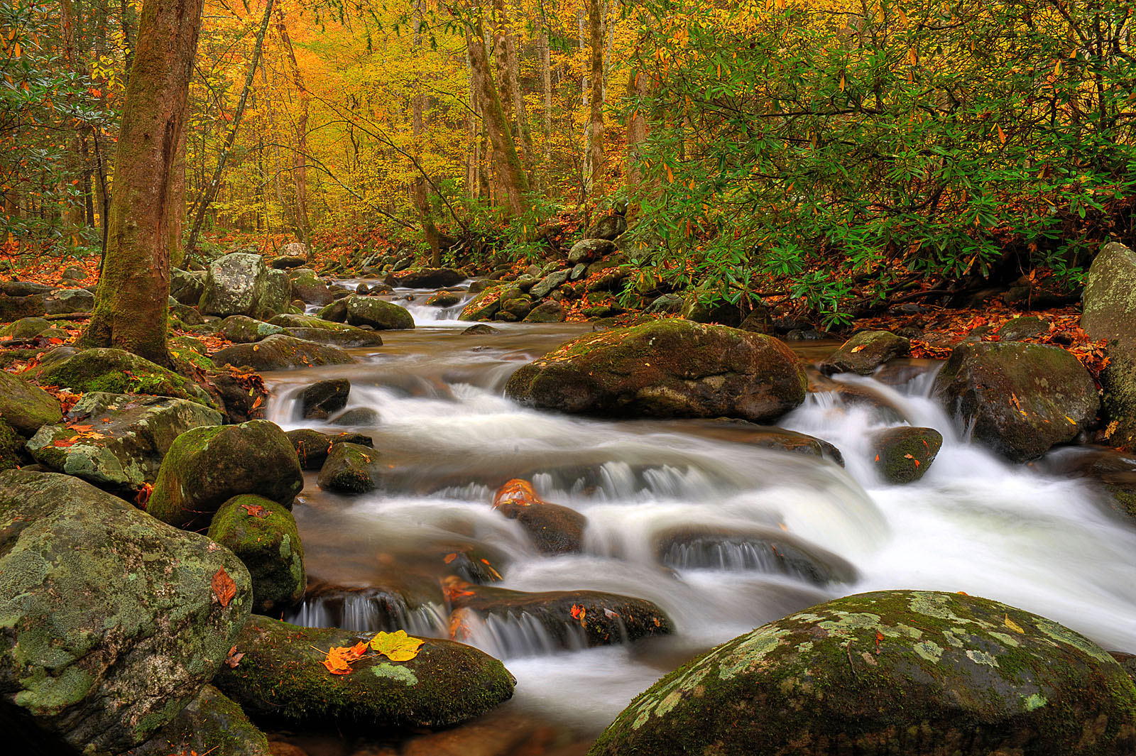 smoky-mountain-landscape001.jpg