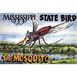 164851524_mississippi-postcard-12318-state-bird-case-pack-750.jpg