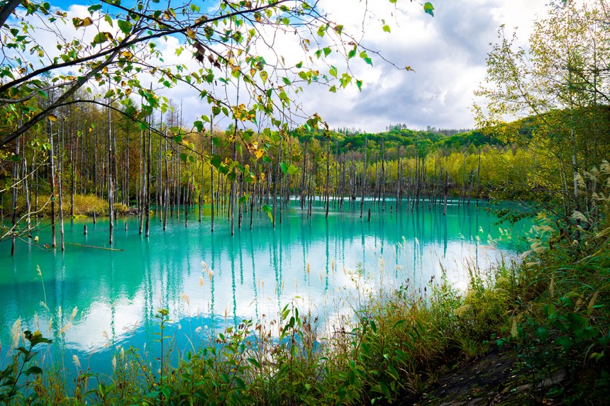 1127-if-daniel-tang-biei-blue-pond.jpg