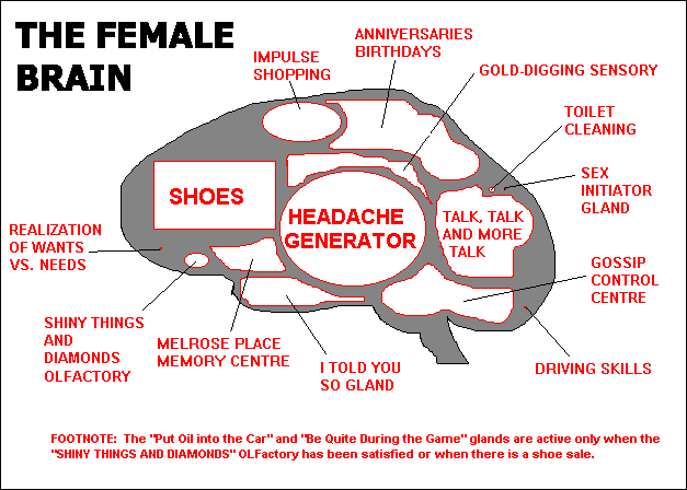 female-brain.jpg