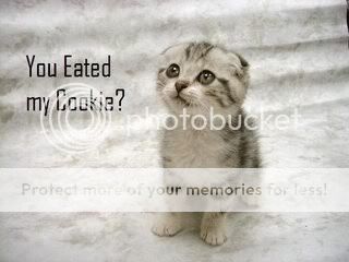 eated_my_cookie.jpg