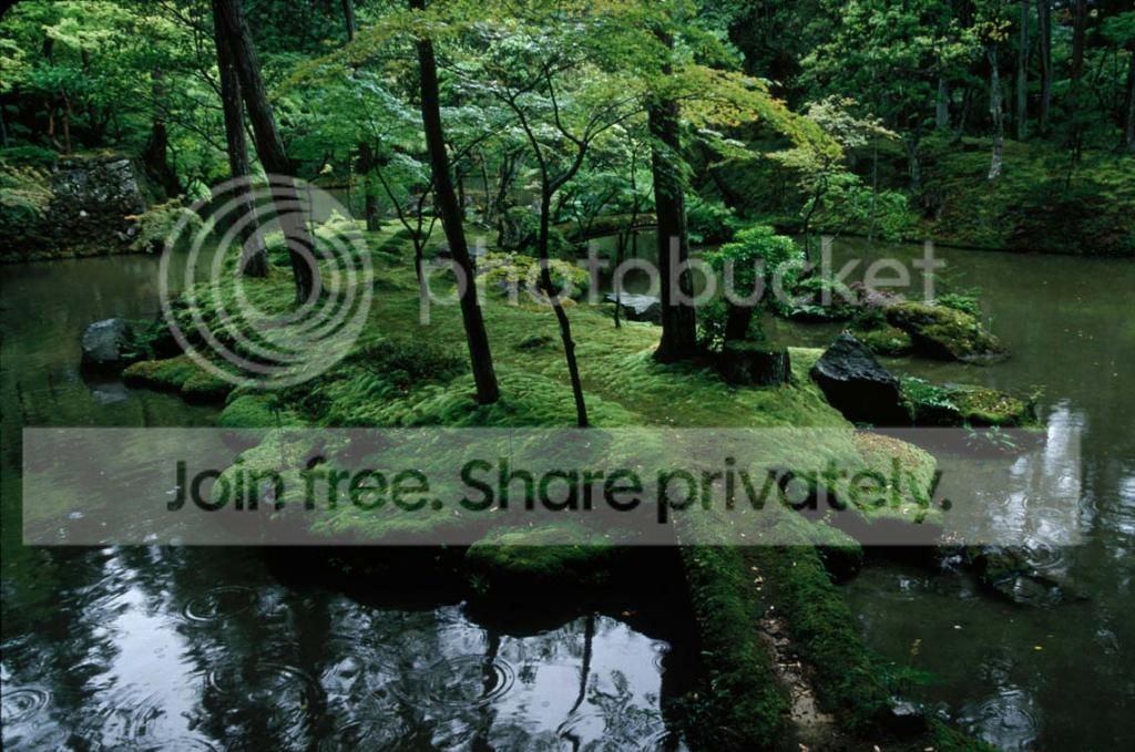 rain_awakens_the_garden_zpse8d42f1a.jpg