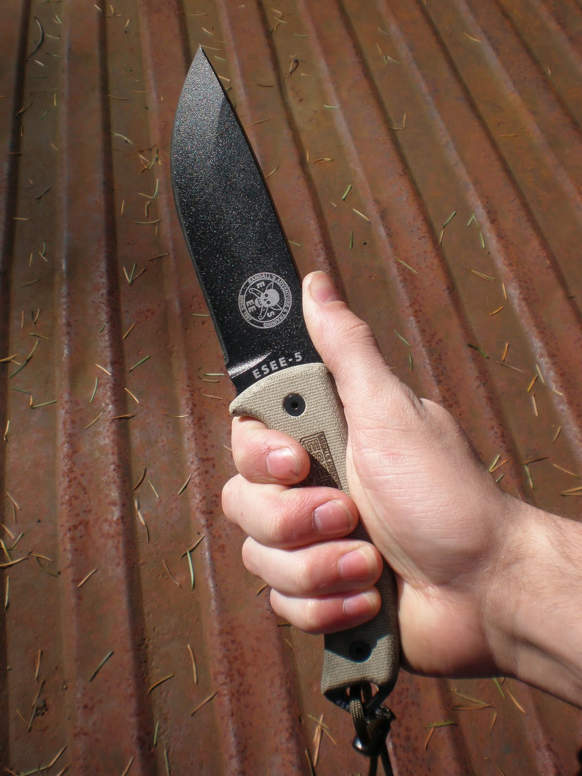 ESEE-5+006.JPG