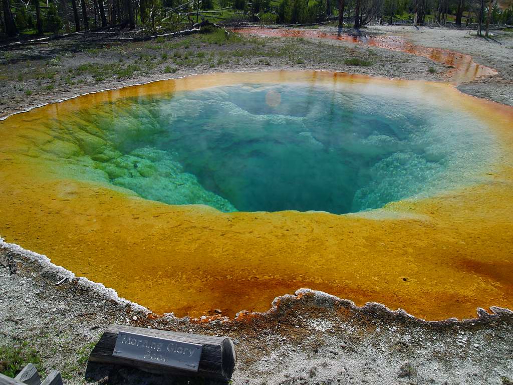 morning_glory_pool.jpg