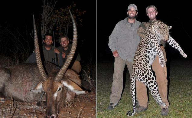 donaldtrumpjr.jpg