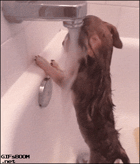 tumblr_nhwwjqqxmz1s02vreo1_400.gif