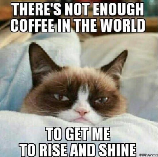 -Grumpy-cat-Funny-Pictures-MEME-2015.jpg