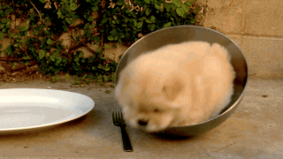 4def4c873179aecdde276b4b77a6d35a.jpg