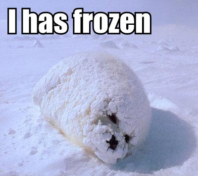 i-has-frozen.jpg