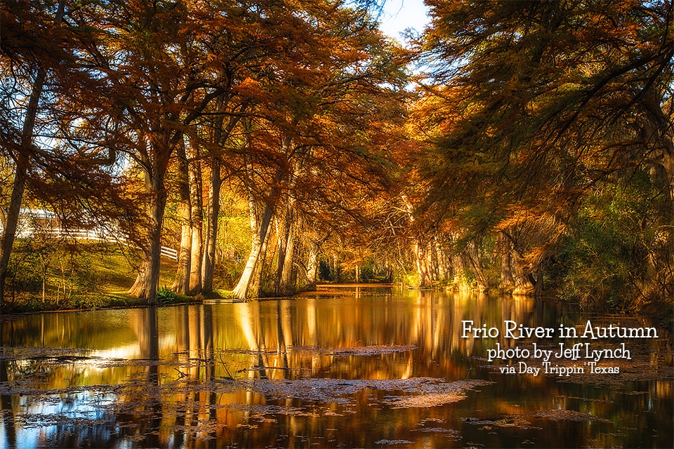 frioRiver-autumn-JeffLynch.jpg