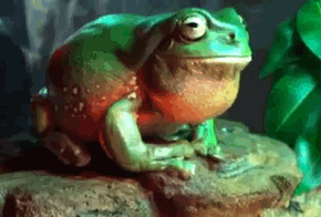 tumblr_nfwkza7jSI1rhl4f0o1_400.gif