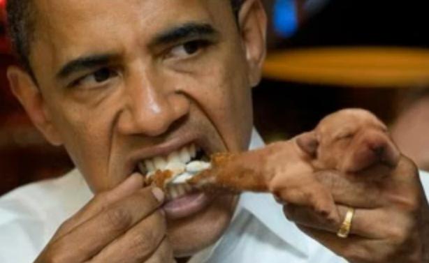 Obama-eats-dog.jpg