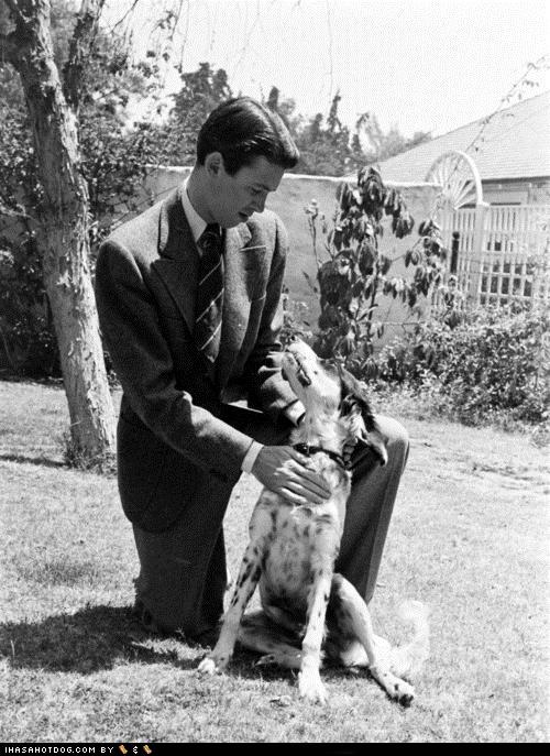 funny-dog-pictures-jimmy-stewart.jpg
