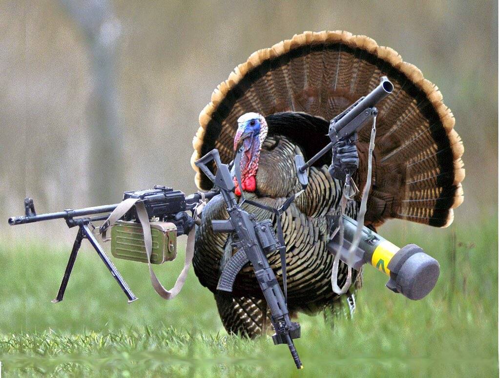 turkey-soldier.jpg