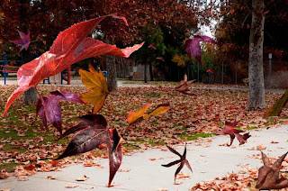 1-autumn-wind-richard-gordon.jpg