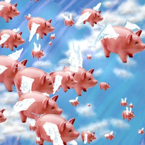 pigs_flying-347.jpg