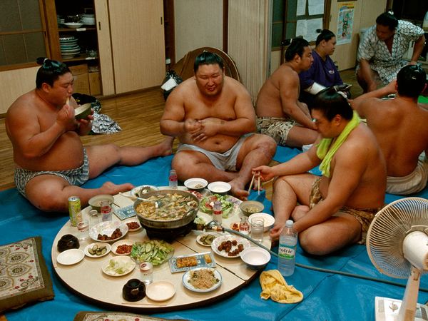 sumo+eating.jpg