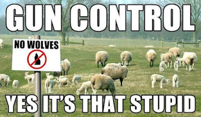 gun-control-sheep.jpg