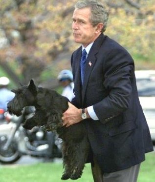 bush+boinking+dog.jpg