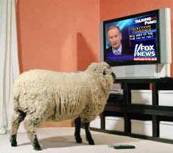 fox+news+sheep.jpg