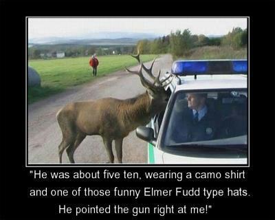 funny-hunting-moose.jpg
