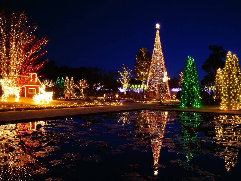 Beautiful-Christmas-tree-17-jpg.jpg