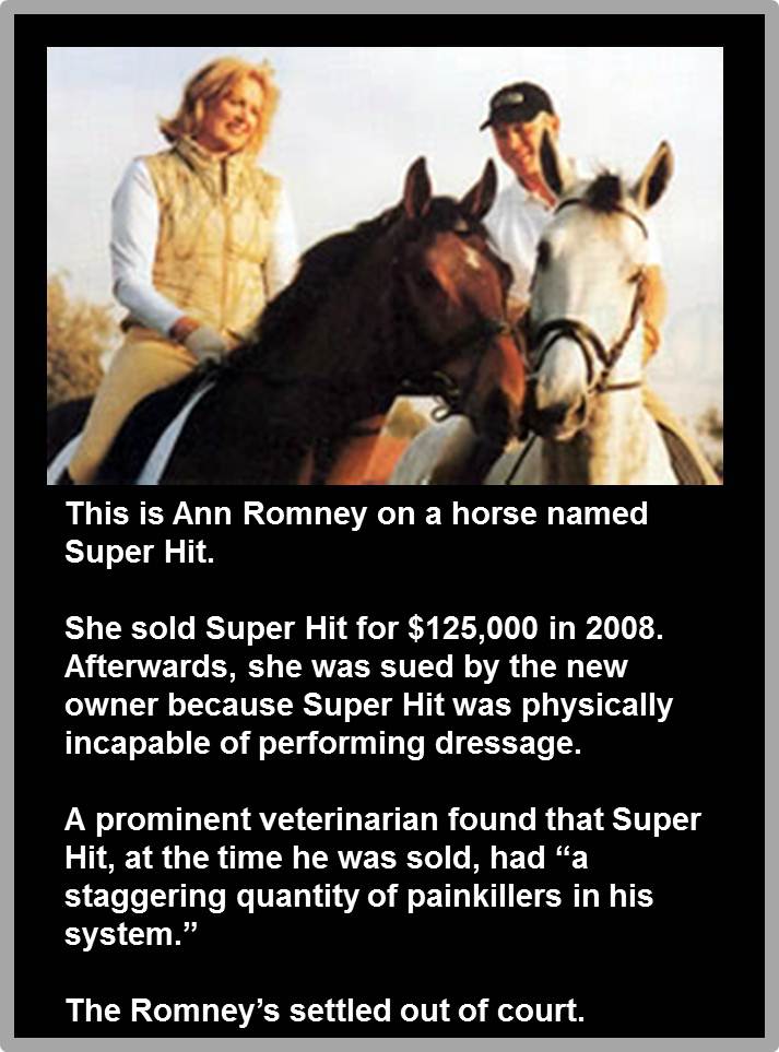 Ann_Romney_Super_Hit_Abuse.jpg