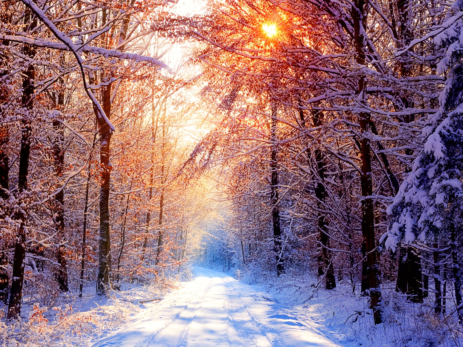 nature-Winter-Wallpapers-8.jpg